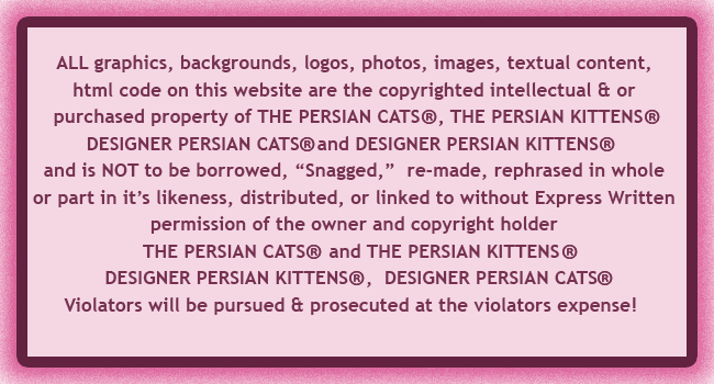 Persian Kittens Copyright