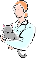 Persian Kitten Image