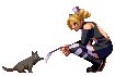 Persian Kitten Breeders