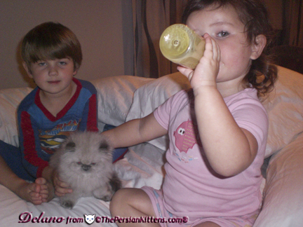 Persian good with children